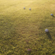 Illustration for article titled Shooting Challenge: Golden Hour